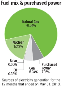 Fuel mix and purchased power