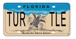 Sea Turtle License Plate