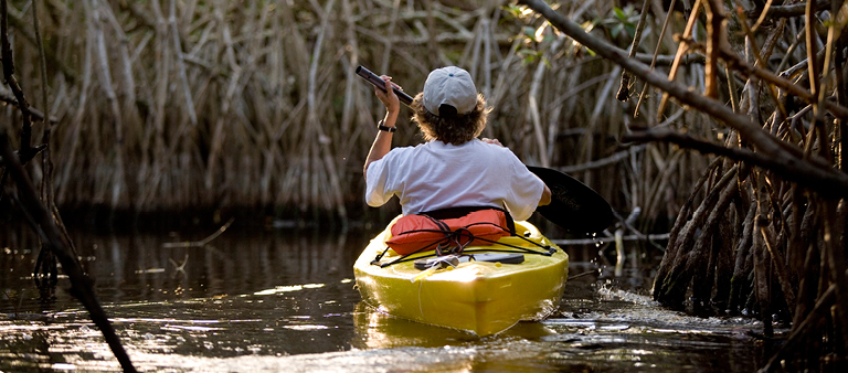 Vegetation, Wildlife and Ecosystems 